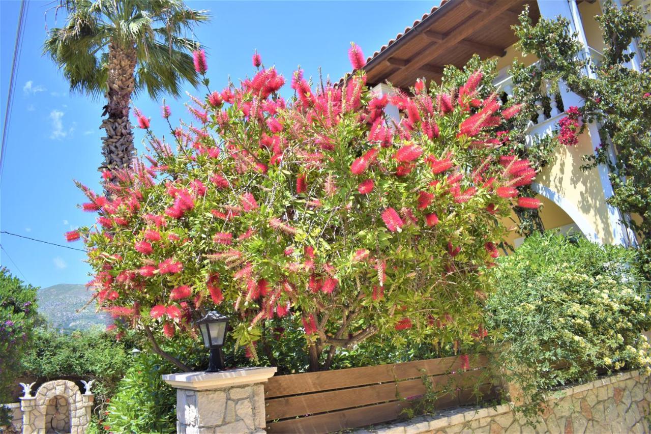 Villa Dionysios كيري المظهر الخارجي الصورة