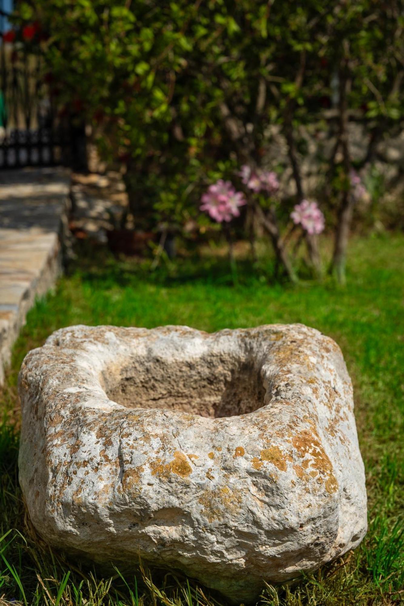 Villa Dionysios كيري المظهر الخارجي الصورة