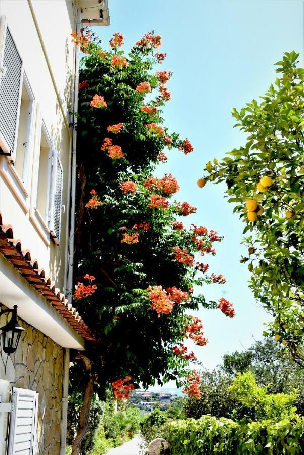 Villa Dionysios كيري المظهر الخارجي الصورة